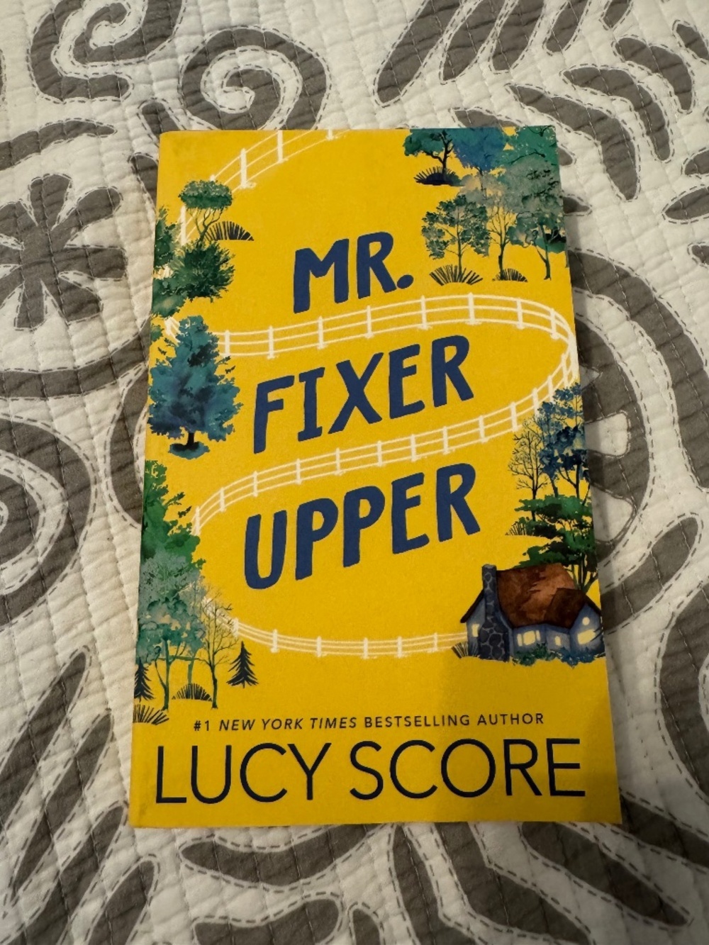 Mr. Fixer Upper by Lucy Score - Like New Condition